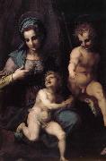 Andrea del Sarto The Virgin and Child with St. John childhood Spain oil painting artist